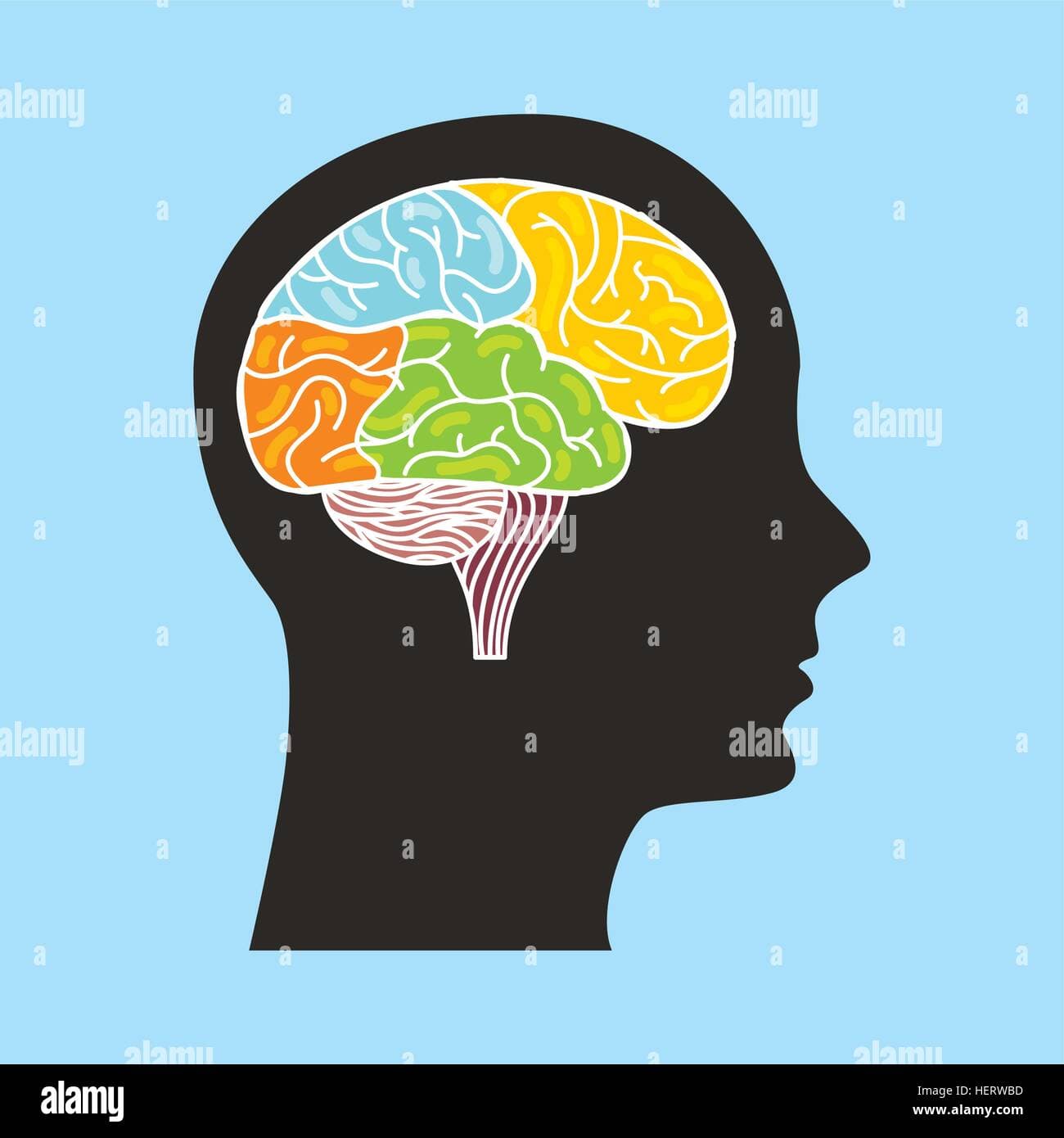 Machine Learning with Python at Loctech