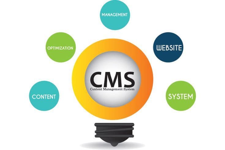 Digital Marketing & CMS at Loctech